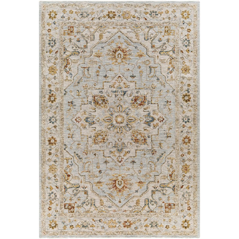 Tereza Updated Traditional Medallion Area Rug