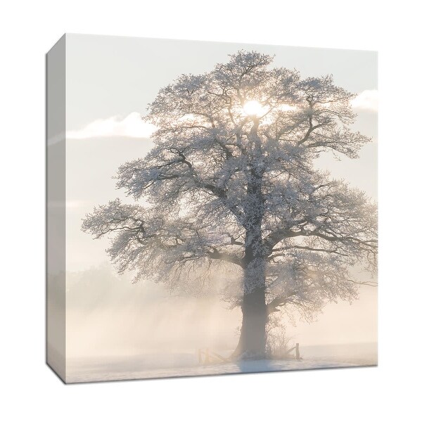 PTM Images 9-147740 PTM Canvas Collection 12" x 12" - "Winter King" Giclee Rural Art Print on Canvas
