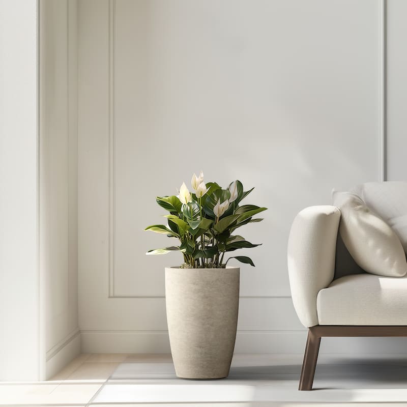 Tall Concrete Round Plant Pots / Large Indoor and Outdoor flower Planters