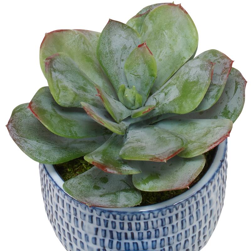 Uttermost Puebla Greenery in Blue and White Pots (Set of 3) - SM-6 x 7 x 6, MED-7 x 8 x 7, LG-22 x 16 x 22