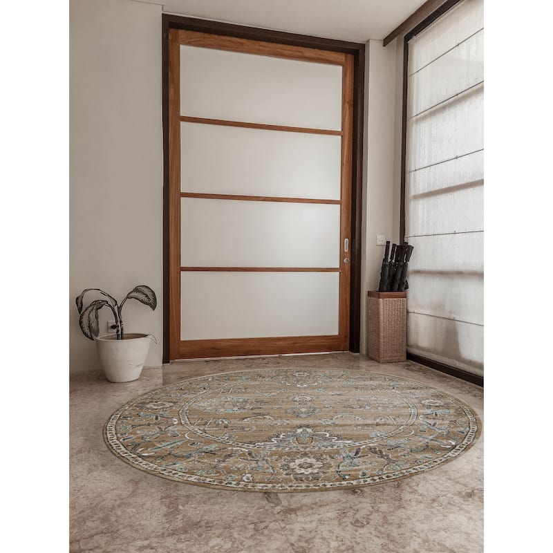 Admire Home Living Corina Traditional Oriental Vintage Area Rug