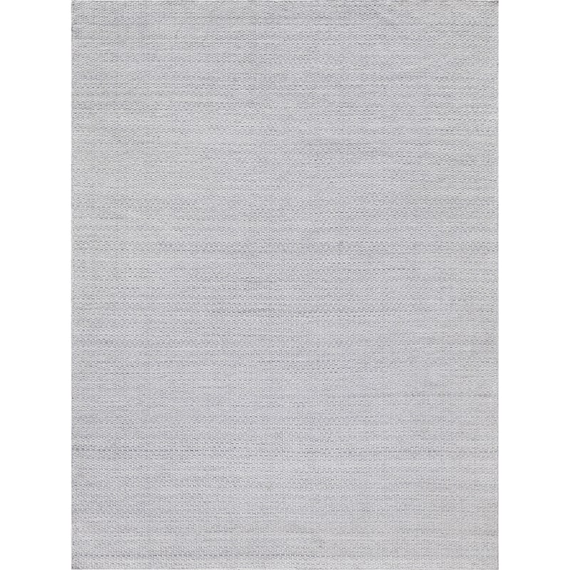 EXQUISITE RUGS Gamma Indoor/Outdoor Flatweave PET yarn Silver Area Rug.