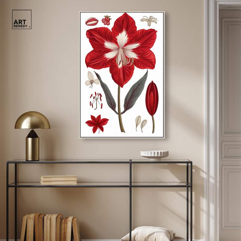 Amaryllis Anatomy Canvas by Art Remedy