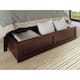 Option Walnut