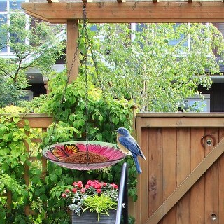 Adeco Hanging Bird Baths Bird Feeders