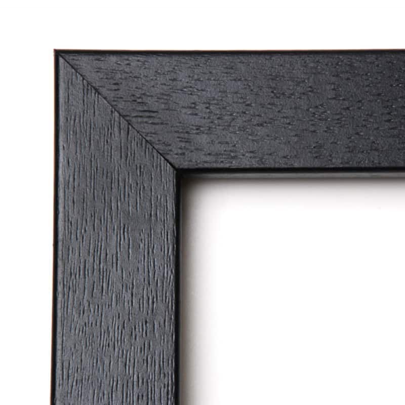 Picasso Animal Drawings - set of 4 Framed Art Print