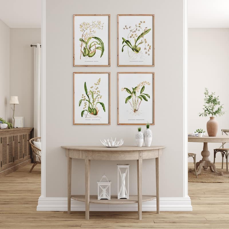 Orchid Assortment Study