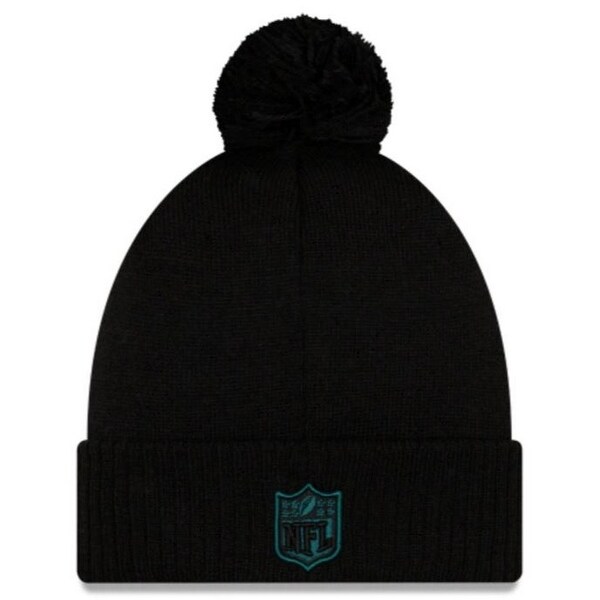 eagles stocking cap