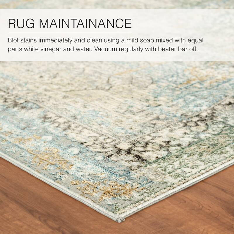 Thayer Medallion Area Rug