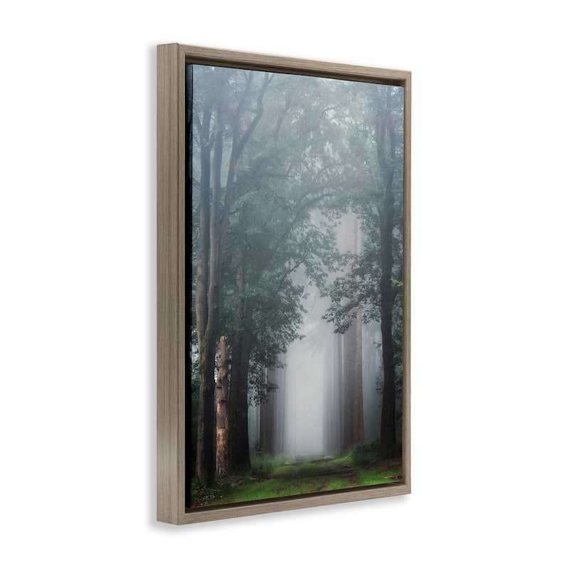Stupell Calm Forest Clearing Framed Floater Canvas Wall Art Design By Martin Podt