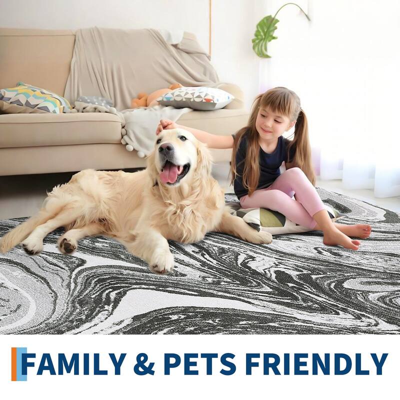 Washable Area Rugs for Living Room, Soft Modern Abstract Rug Non Slip Low Profile Carpets for Bedroom Dining Room