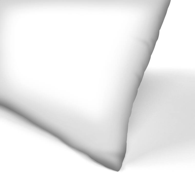 Feather 6 and Feather 5 Set of 2 Decorative Pillows Bed Bath