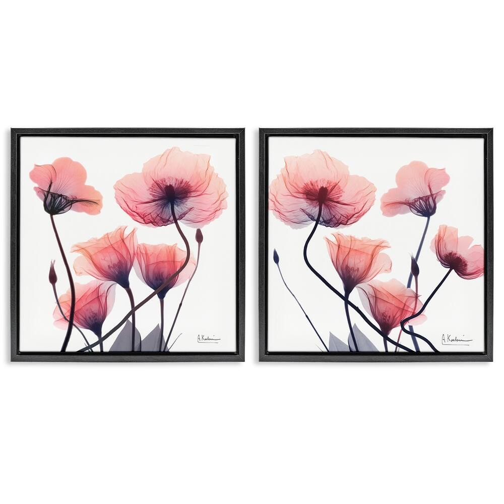 Stupell Various Faded Pink Flowers Framed Floater Canvas Wall Art Design By Albert Koetsier (Set of 2)