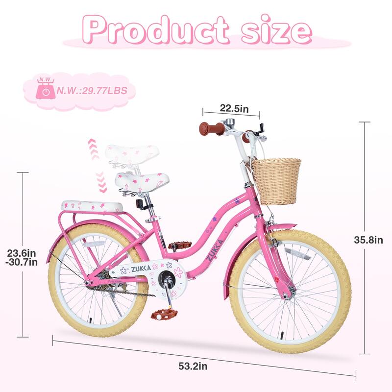 Girls 20 Inch Bike with Basket, Steel Frame, Front & Rear Brakes, For Kids Ages 7-10, No Training Wheels