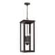 preview thumbnail 6 of 8, 11" W x 28.5" H 4-Light Outdoor Rectangular Hanging Lantern with Clear Glass - 11"W x 28.5"H Oiled Bronze