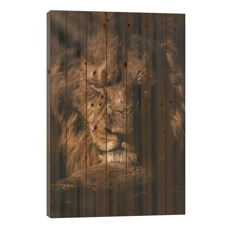 Lion Sunshine Print On Wood by Milos Karanovic - Multi-Color - 40x26x1.5