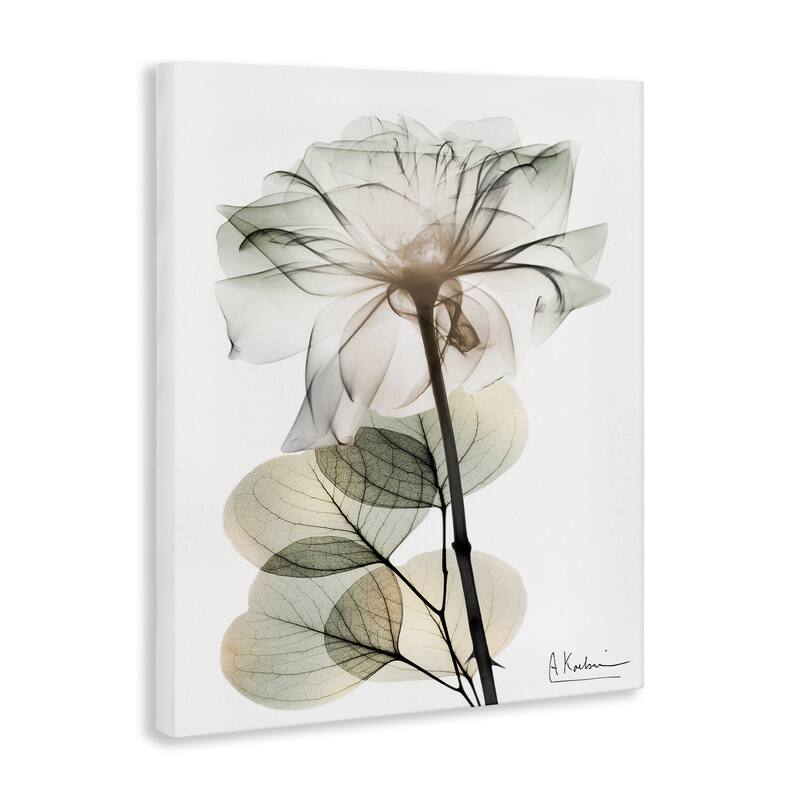 Stupell Modern Minimalist Buds Canvas Wall Art Design By Albert Koetsier