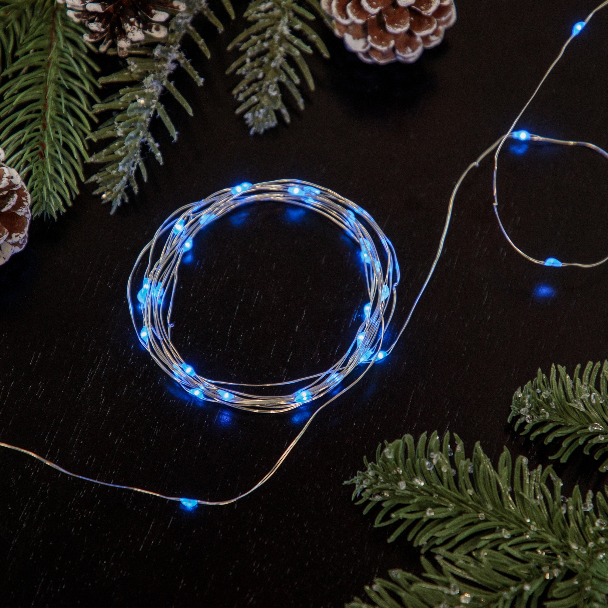Blue Fairy LED String Lights 6ft