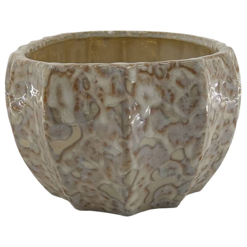 Ceramic Decorative Bowl with Glossy Glazed Finish Modern Accent