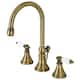 Option Antique Brass