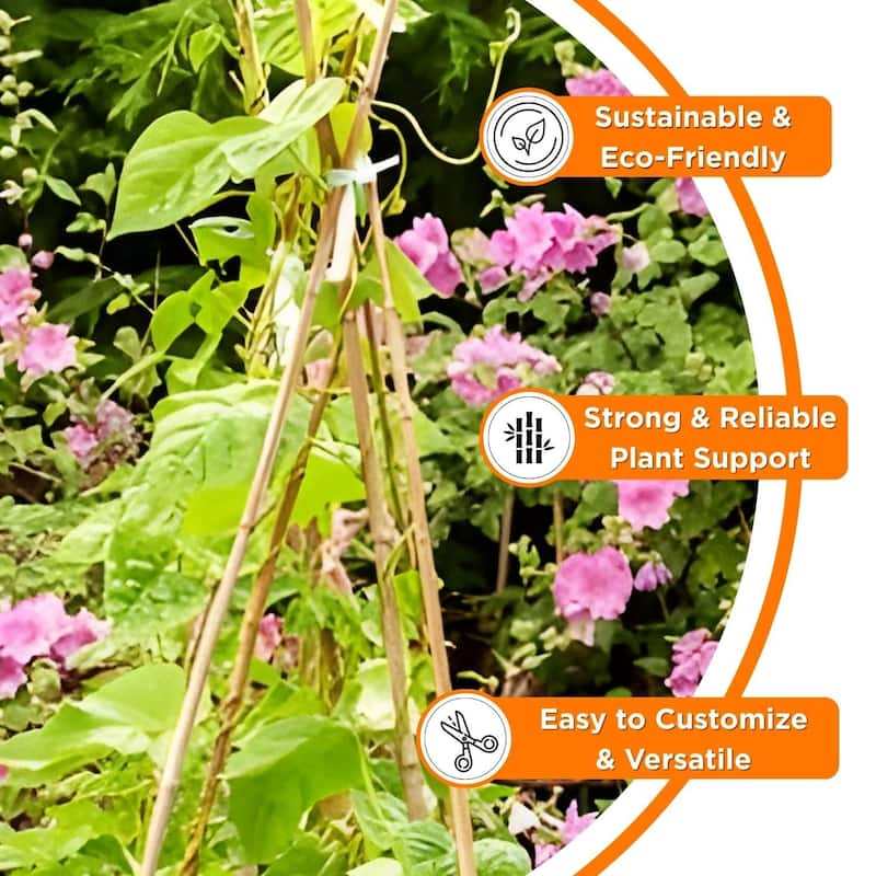 Bamboo Stakes For Gardening Plant Support for Garden Natural (25-Pack)