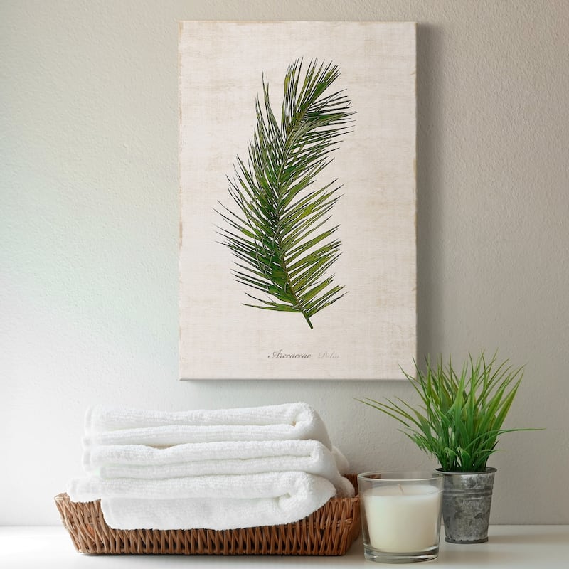 Palm Botanical II Premium Gallery Wrapped Canvas - Ready to Hang