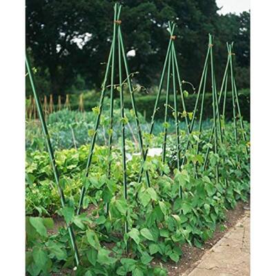 Stakes For Plants Tree Tomato,1/4" - 20pack