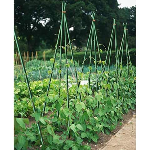 Stakes For Plants Tree Tomato,1/4" 5ft 20pack