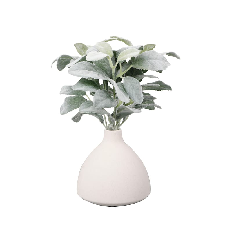 Lamb's Ears in 5" Ceramic Bud Vase 5*5*5.25