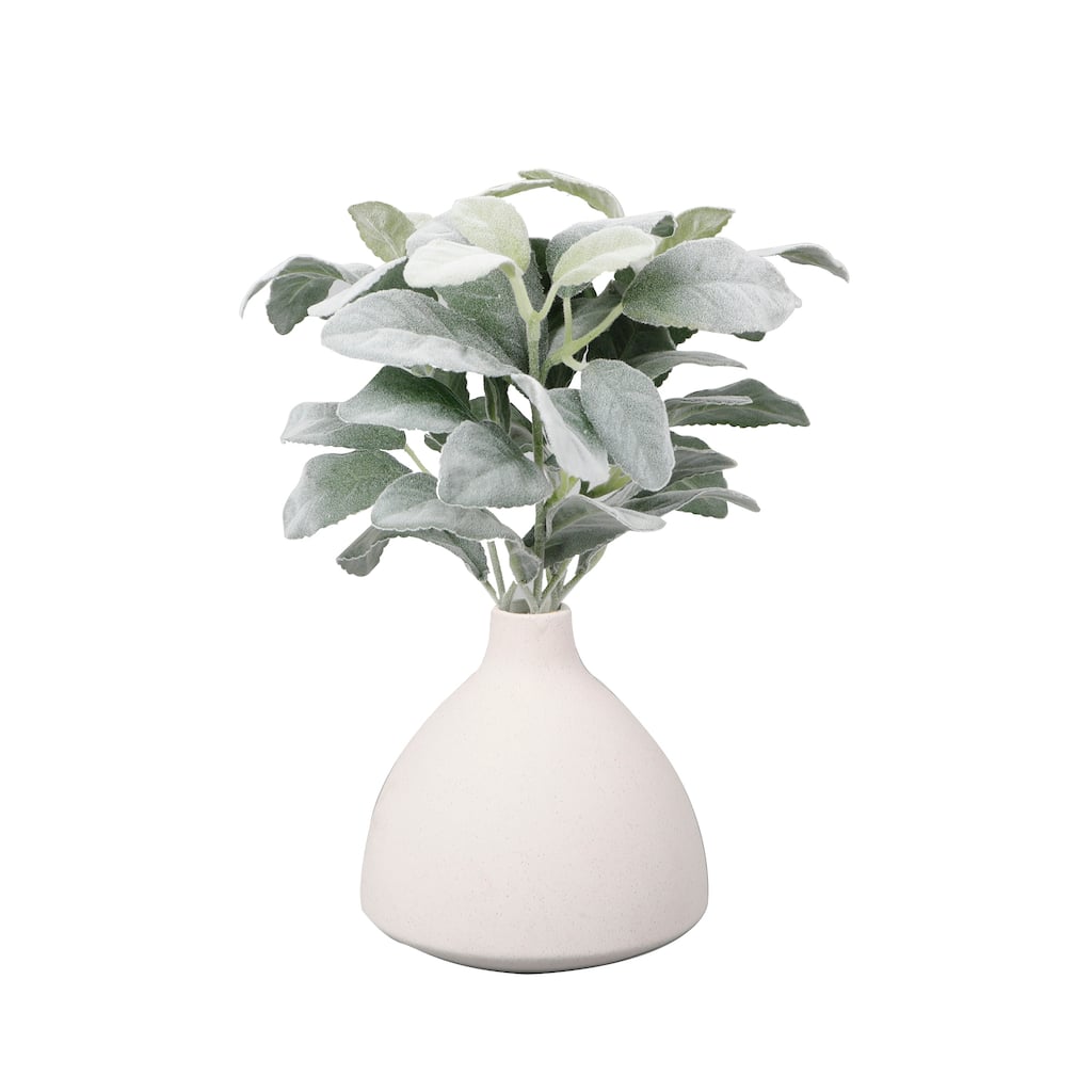 Lamb's Ears in 5" Ceramic Bud Vase 5*5*5.25