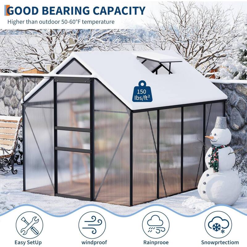 6 x 8 FT Winter Polycarbonate Greenhouse for Outdoors Gardening, Black