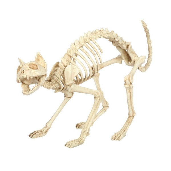 Shop Seasons 18078 Halloween Prop Cat Skeleton Decor For Yard 18