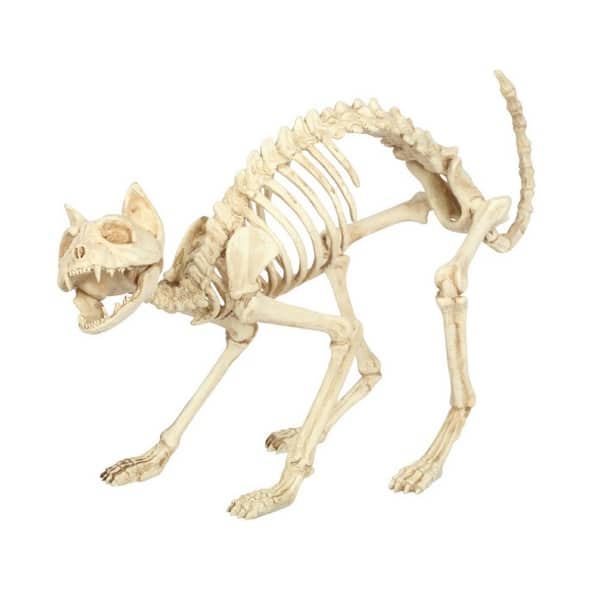 Seasons-18078-Halloween-Prop-Cat-Skeleton-Decor-For-Yard%2C-18%22.jpg?impolicy=medium
