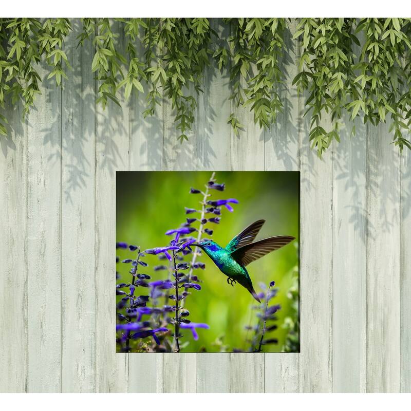 Hummingbird No 7 Indoor Outdoor Art - Multi-color