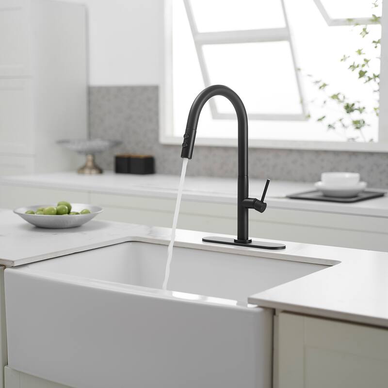 WIZ Single Handle Pull Down Sprayer Kitchen Faucet