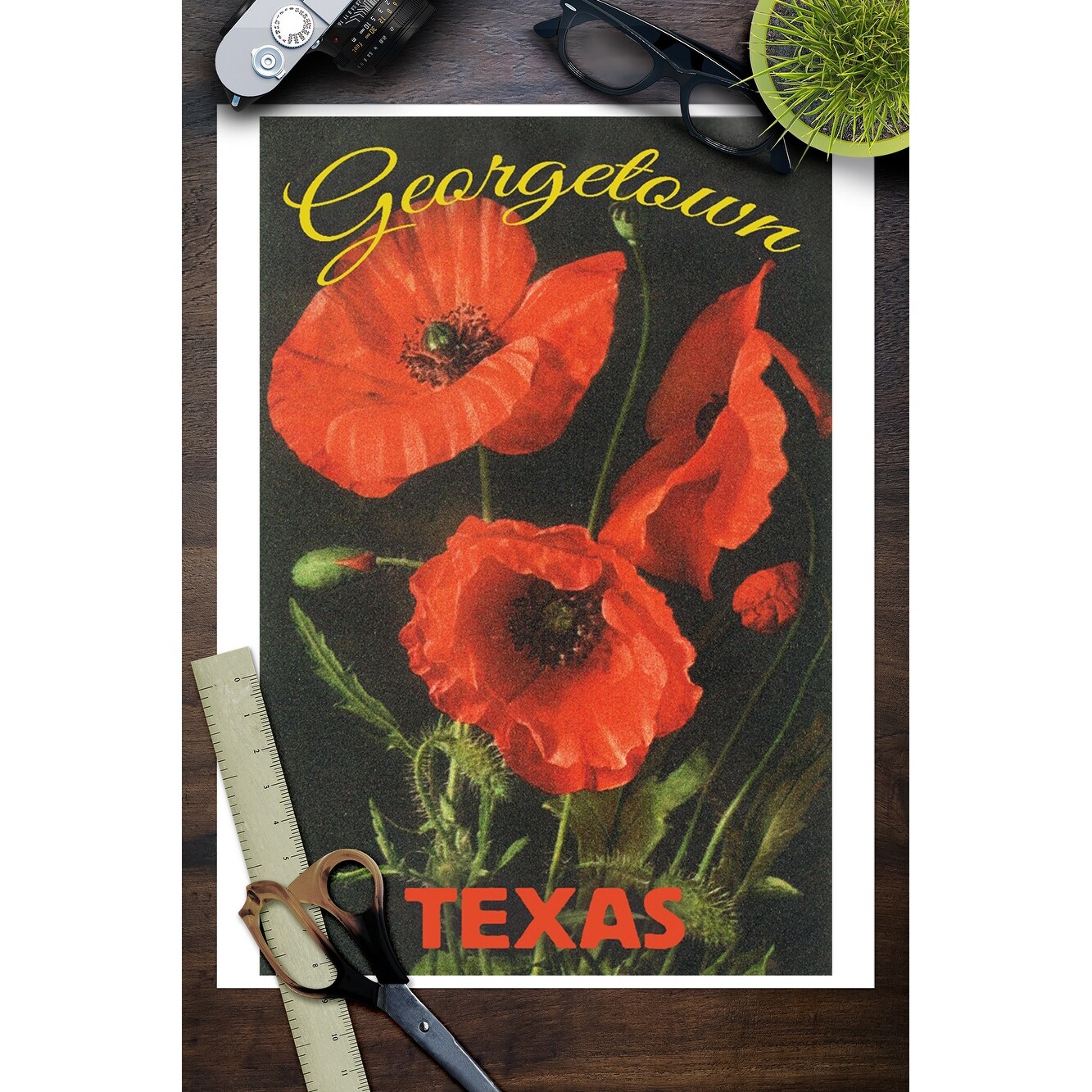 Shop Georgetown Texas Corn Poppy Flowers Lantern Press