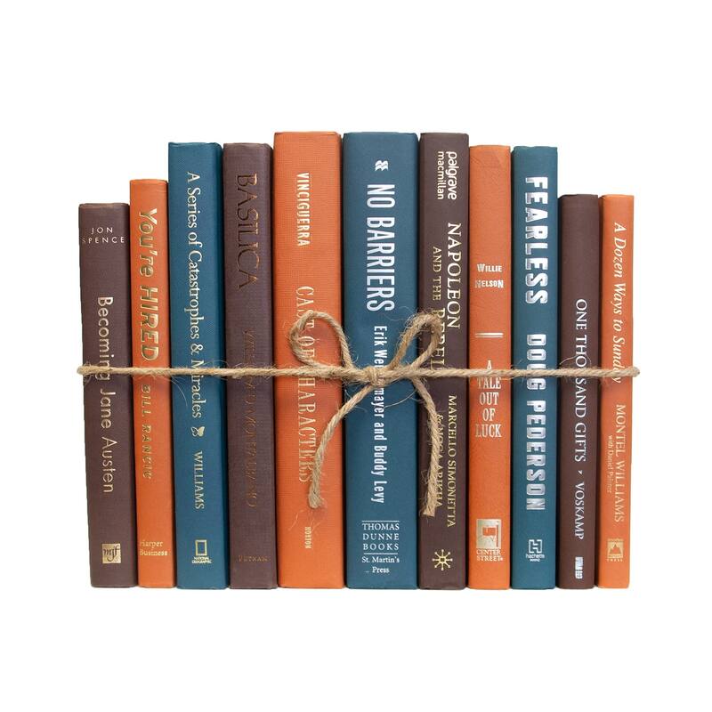 Books Blue Decorative Accessories: Rustic Spruce ColorPak