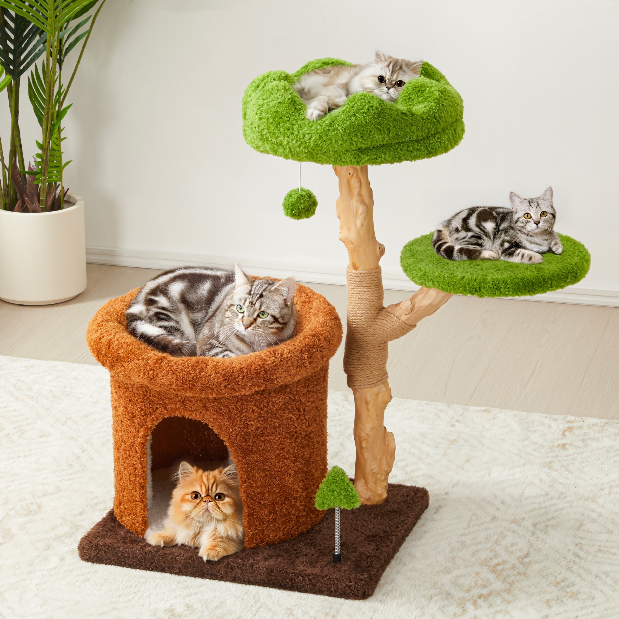 CAT★ 32-Inch-Multi-Level-Cute-Cat-