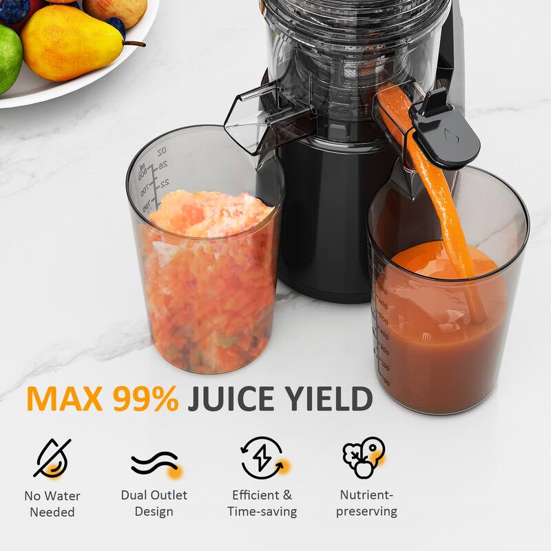Juicer Machines with 5.9" Wide Feed Chute, Slow Cold Press Juicer for Whole Fruits & Vegetables
