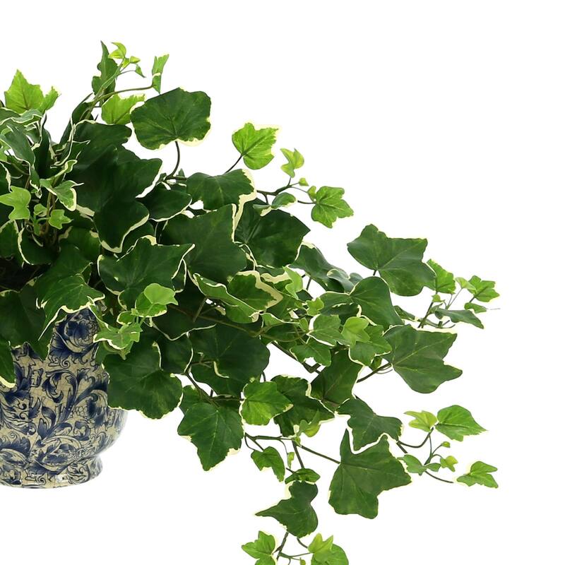 Ivy Arrangement in a Decorative Ceramic Pot - Green