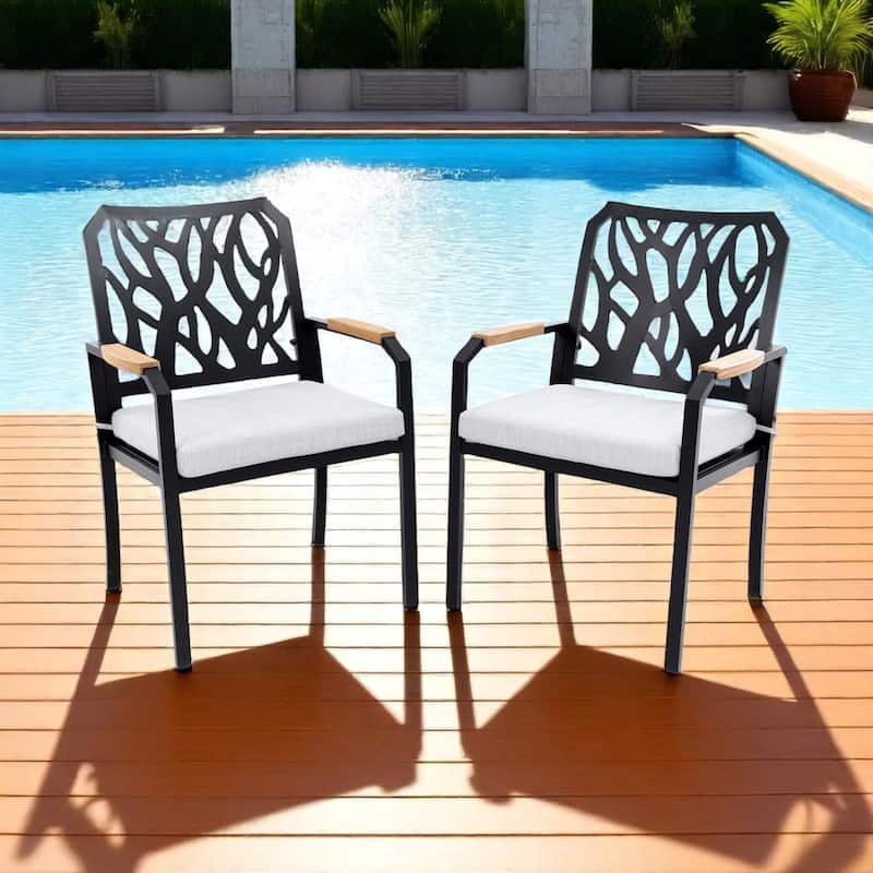 KISRAIS Modern Outdoor 2PC Aluminum Patio Dining Chairs, Sunbrella Fabric Cushion - Black