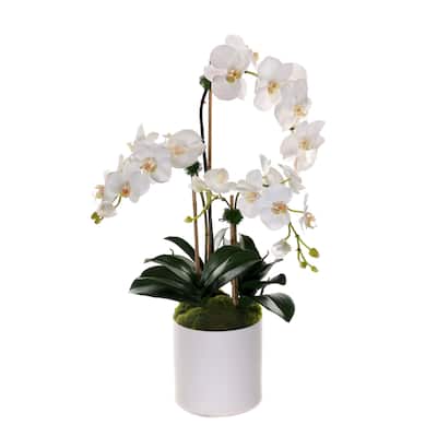 Real Touch Phalaenopsis Orchids in White Cylinder Pot