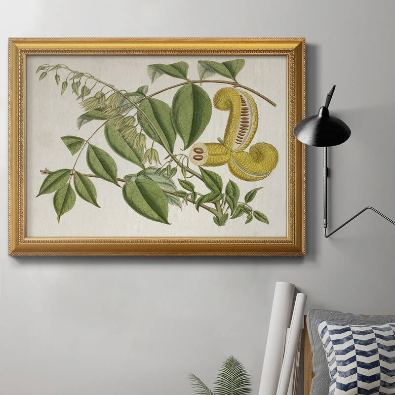 Tropical Foliage & Fruit I Premium Framed Canvas- Ready to Hang