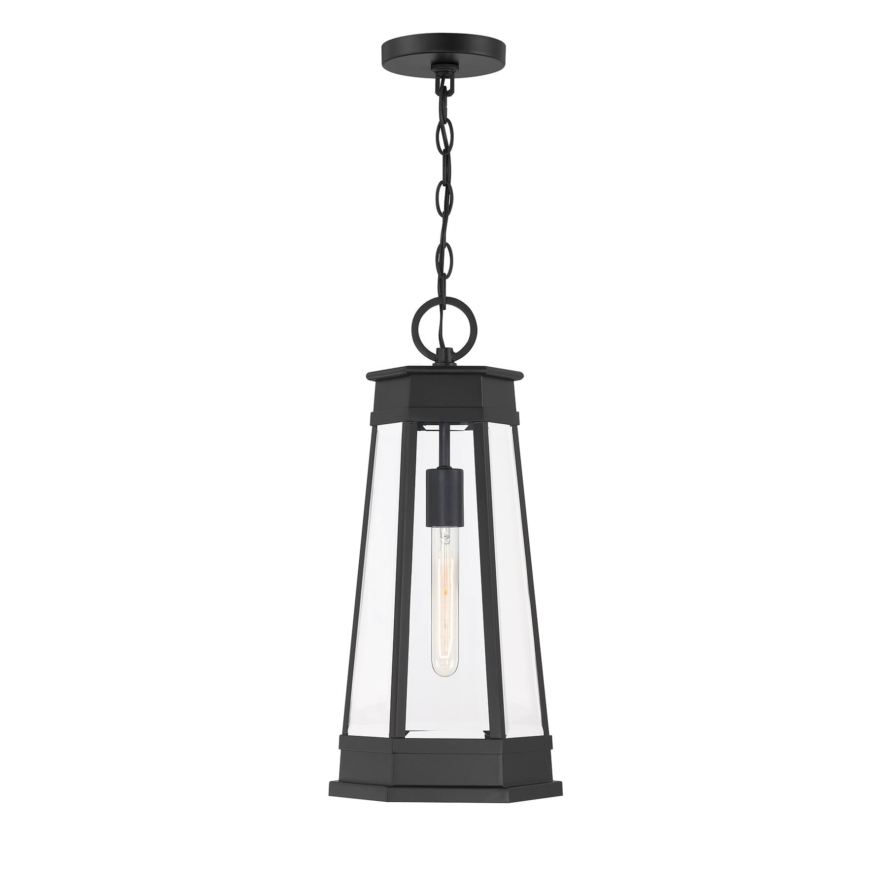 Payne 1-Light Outdoor Hanging Lantern in Matte Black