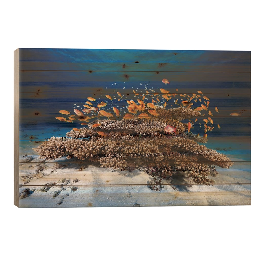 Marine Life Print On Wood by Barathieu Gabriel - Multi-Color