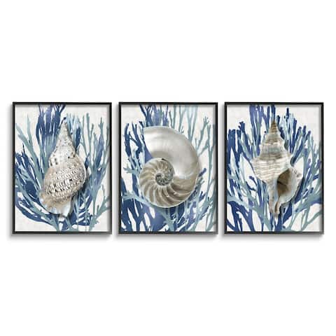 Stupell Industries Trio of Shell Coral Blue Beach Design, 3pc Multi Piece Framed Wall Art Set