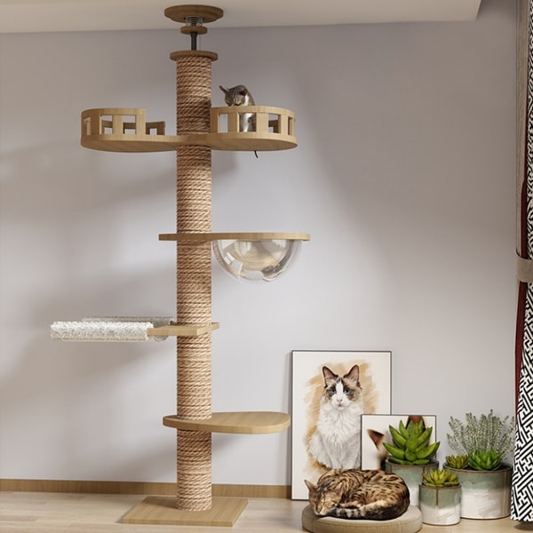 Cat tree bed bath and beyond 2025