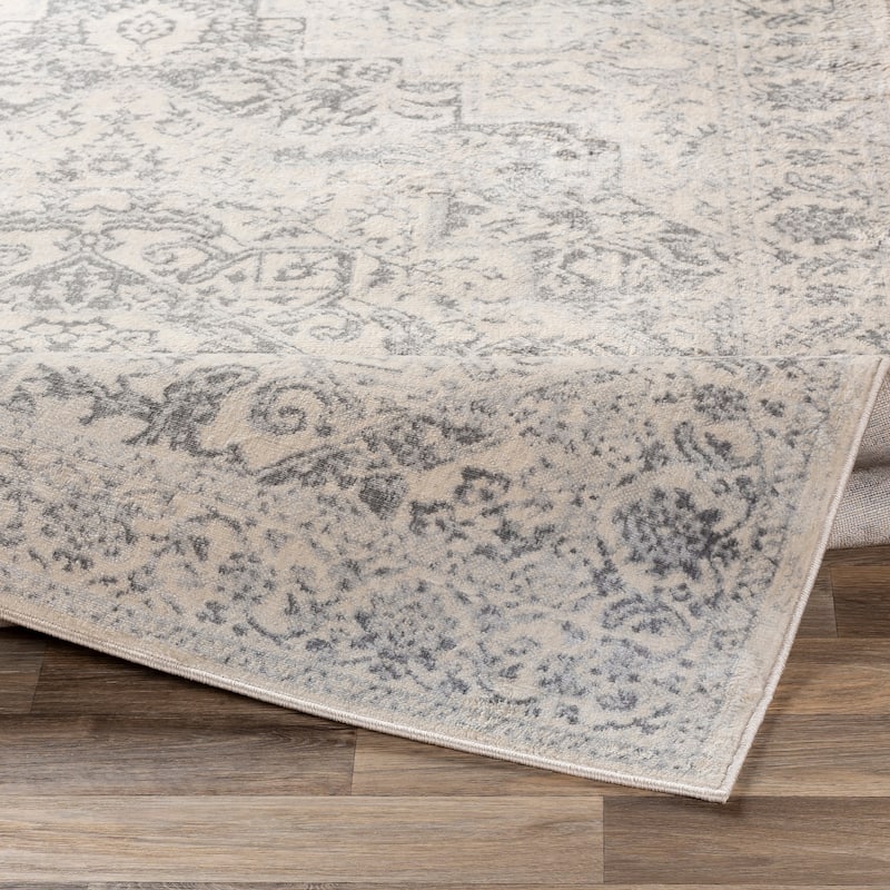Tyrus Traditional Medallion Area Rug - 2'7" x 7'3" Runner