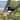 20" Industrial Black Caged Outdoor Ceiling Fan with Light and Plug-in