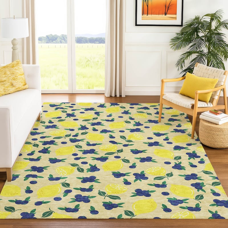 Machine Washable Indoor/ Outdoor Citrus Berry Chantille Rug